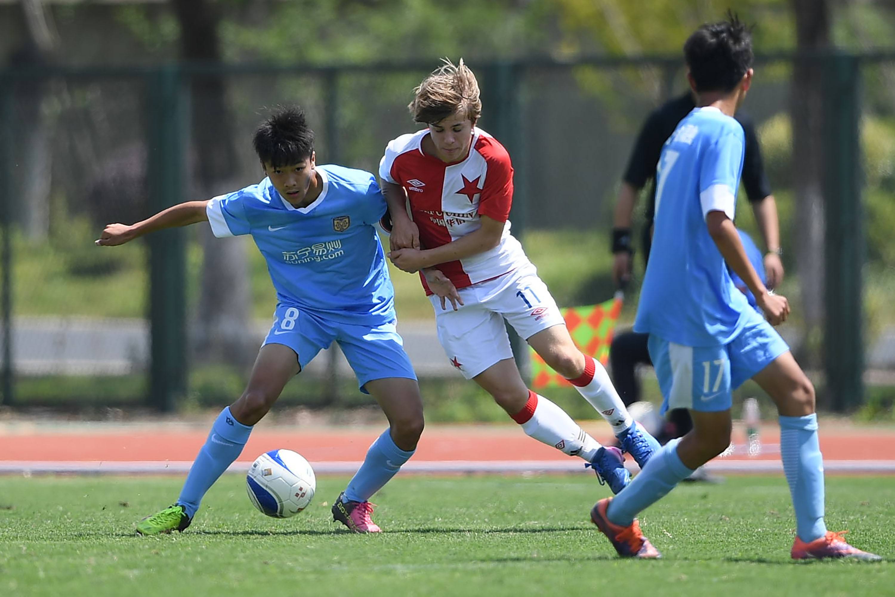 方丹与法国 方丹与法国