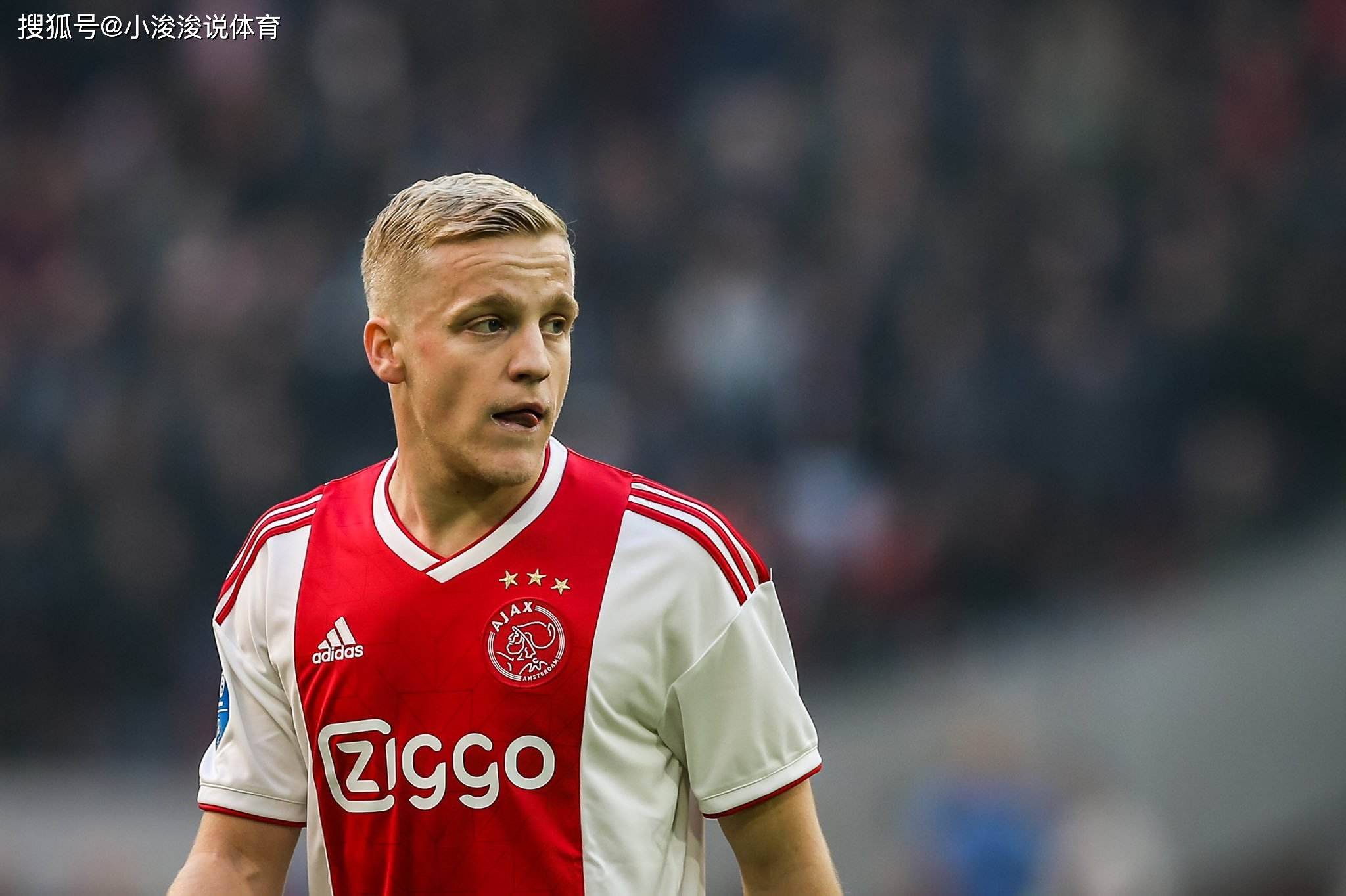 全队奠定了 全队奠定了