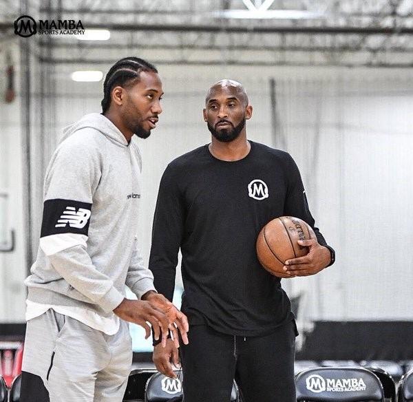 稳定性提高 稳定性提高